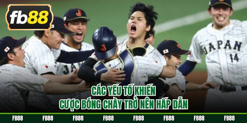 Các yếu tố khiến cược bóng chày trở nên hấp dẫn