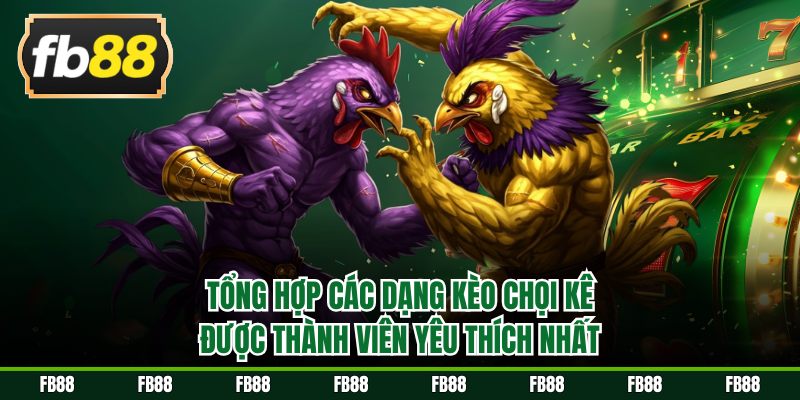 Tổng hợp các dạng kèo chọi kê được thành viên yêu thích nhất