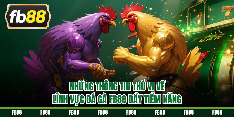 Những thông tin thú vị về lĩnh vực đá gà FB88 đầy tiềm năng