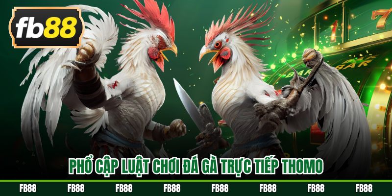 Phổ cập luật chơi đá gà trực tiếp thomo