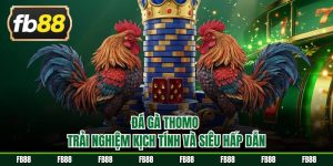 Đá gà Thomo