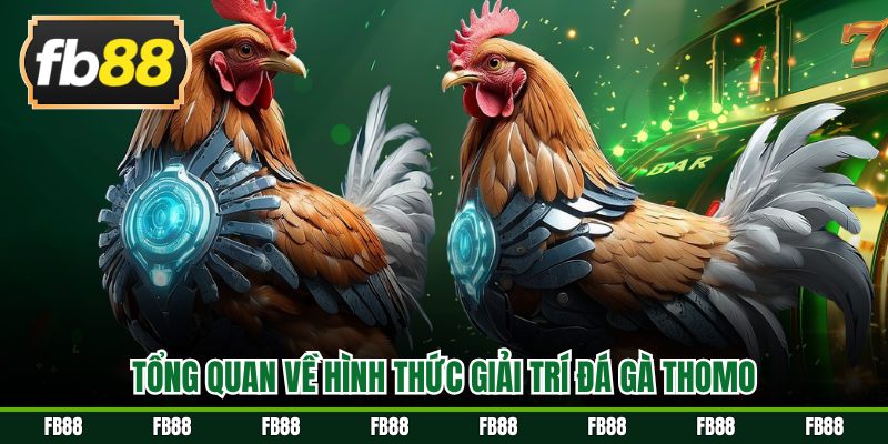 Tổng quan về hình thức giải trí đá gà Thomo