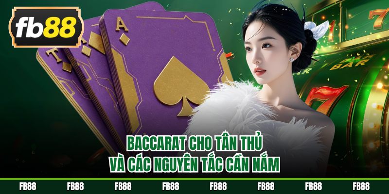 Baccarat cho tân thủ và các nguyên tắc cần nắm