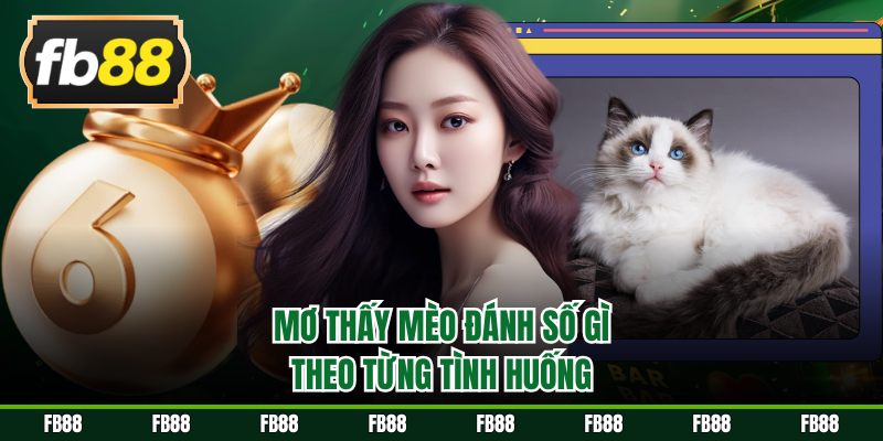 Mơ thấy mèo đánh số gì theo từng tình huống
