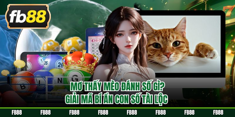 Mơ thấy mèo đánh số gì