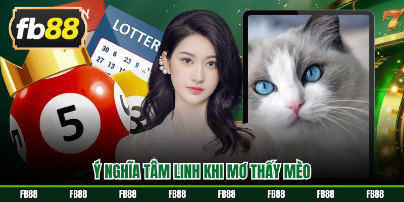 Ý nghĩa tâm linh khi mơ thấy mèo